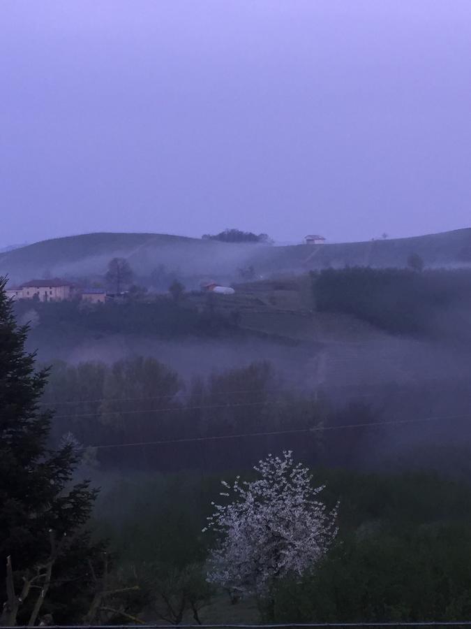 Cascina Baresane Bed & Breakfast Alba (Piedmont)