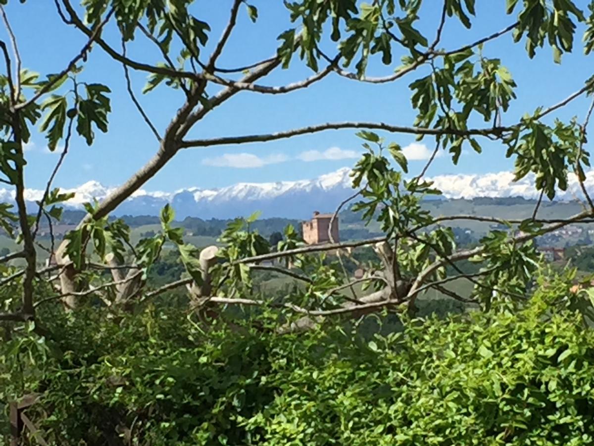 Cascina Baresane Bed & Breakfast