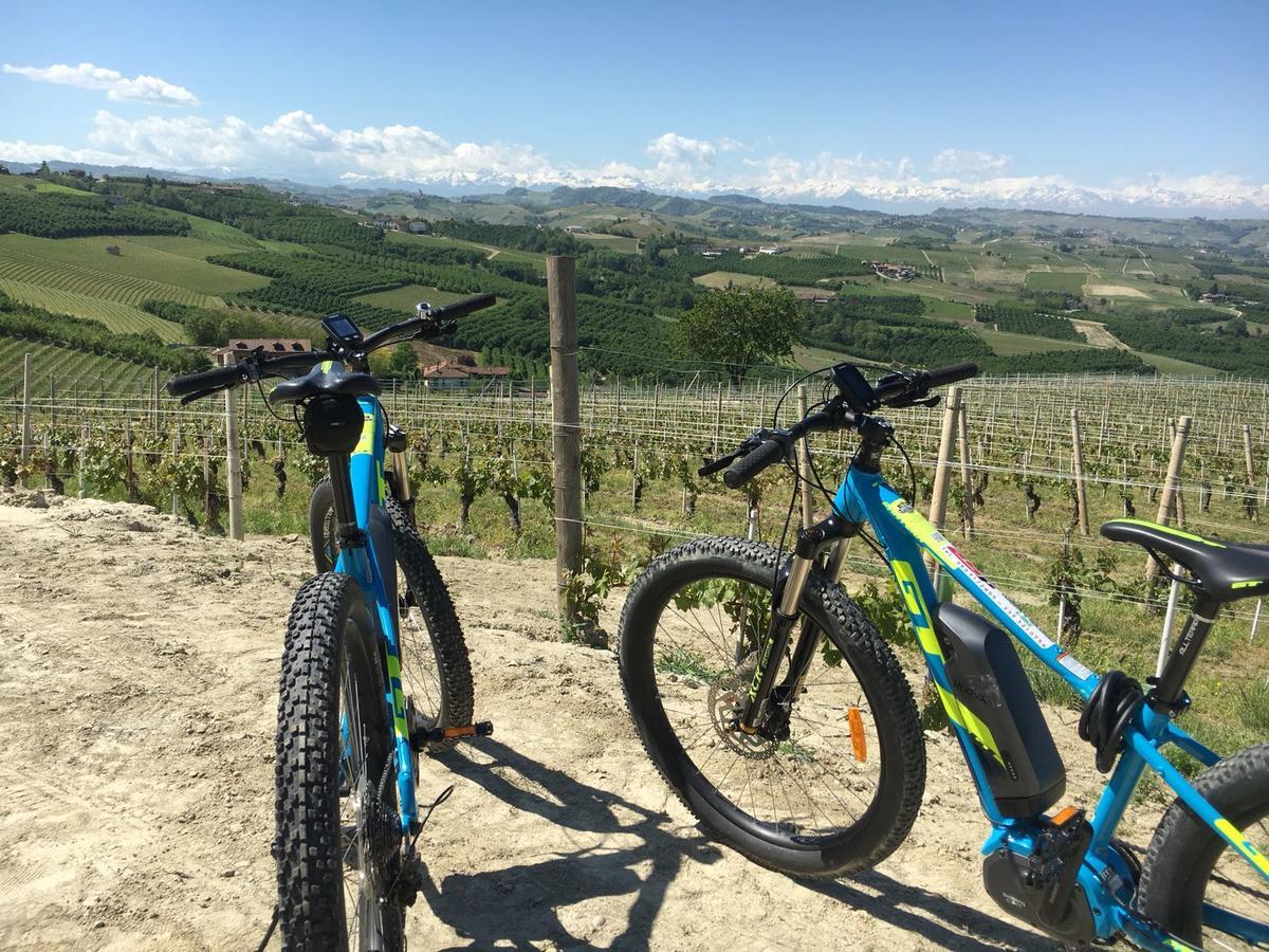Cascina Baresane Bed & Breakfast Alba (Piedmont)
